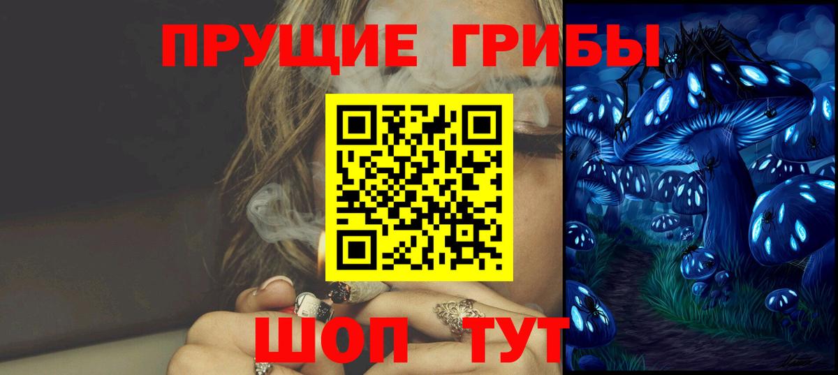 как найти закладки  Псилоцибиновые грибы Psilocybine cubensis  Вход с VPN  Якутск 