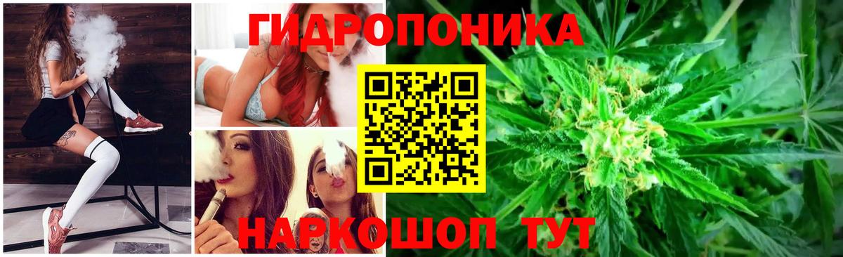 Конопля MAZAR  Шишки марихуана план  Марихуана ГИДРОПОН  Вход с VPN  Якутск 